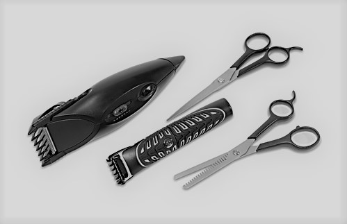 Proper Shear Maintenance Tips